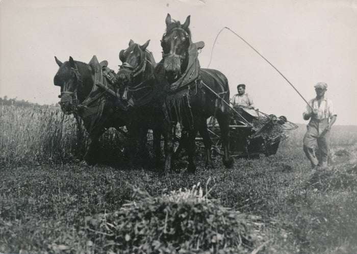 Artisanat, agriculture, autres métiers
