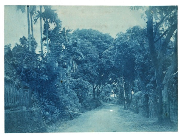Paysage, campagne, nature
