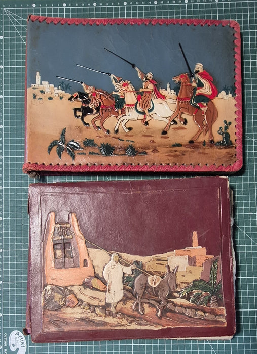 2 albums photographies Algérie guerre chasseurs alpins 14e BCA 10e compagnie