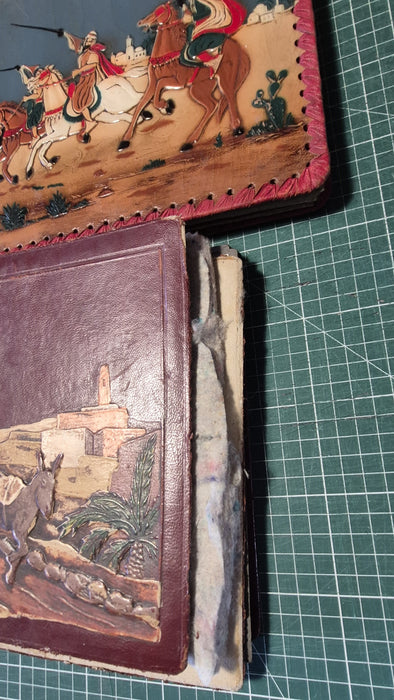 2 albums photographies Algérie guerre chasseurs alpins 14e BCA 10e compagnie