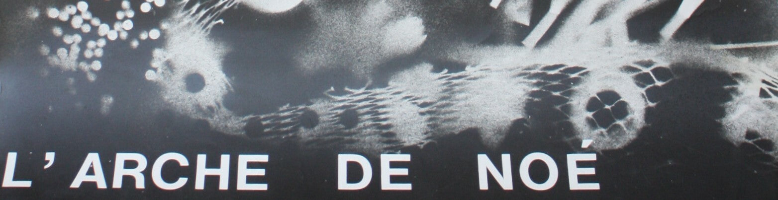 Photographie photo surimpression solarisation affiche Arche de Noé Sacrilège