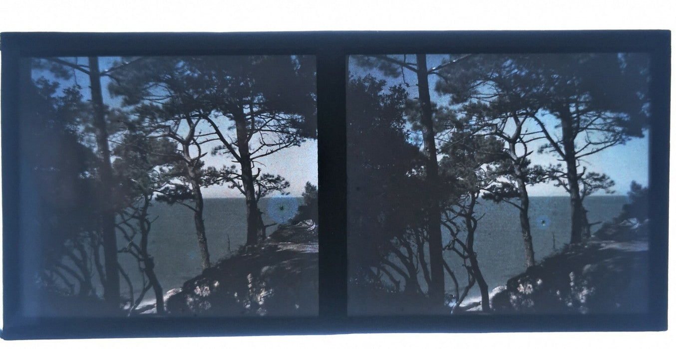 3 Stéréo autochrome mer côtes, Bretagne ? photo photographie