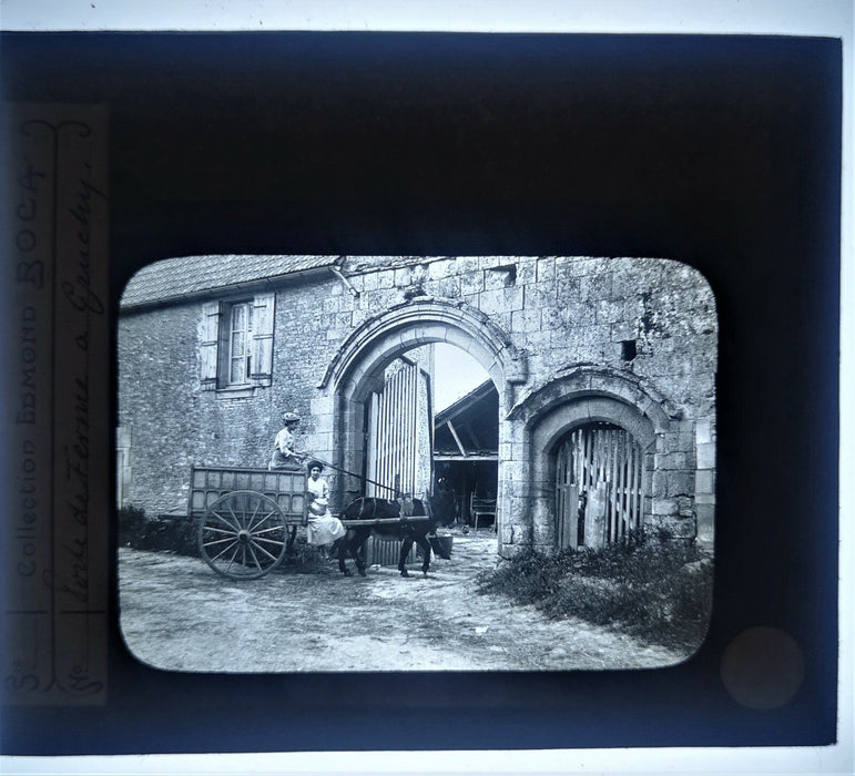 Tremorvezen Carnac Trégastel Perros-Guirec animaux 9 positif verre photo
