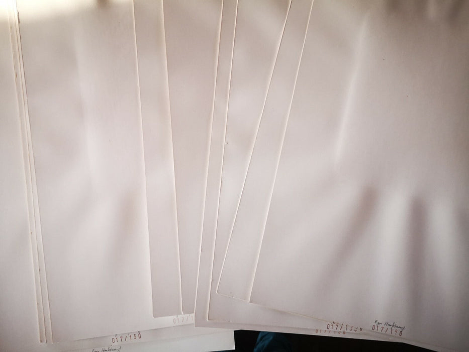 F. Hanfstaengl album Der Zeitgenossen 1975 22 photographies dont Liszt Wagner...