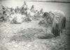 Cinéma Kon Ichikawa : Biruma no tategoto 8 photos époque vintage Harpe Birmanie