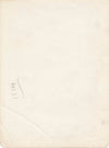 Taureau du Paraguay agriculture tirage argentique d'époque v. 1930-1940 photo