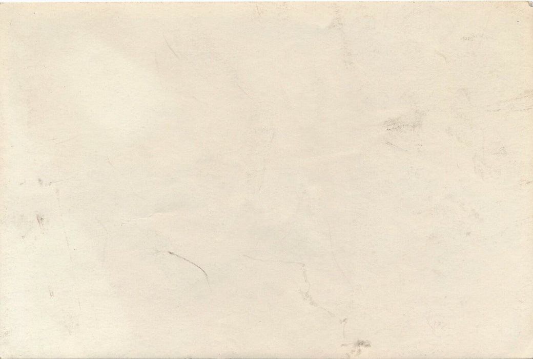 2 photographies Libération Paris 1944 officiers prisonniers allemands Luxembourg