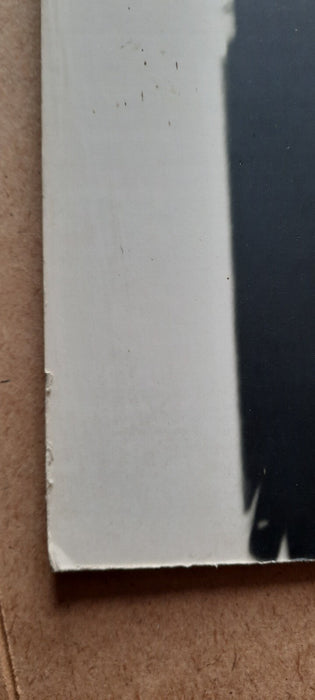 Alice COLTRANE harpe harpiste jazz grande photo photographie Jacques BISCEGLIA 