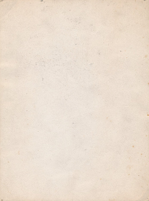 peintre palette atelier tirage papier citrate photo photograhie v. 1910