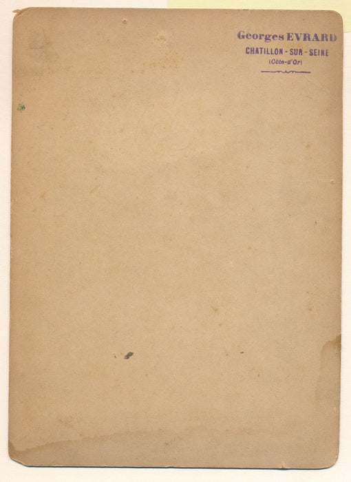 Femme peintre dans jardin albumine photo photographie chevalet