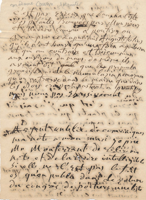 Botanique Louise Cauvin Thomas Pontivy Poitiers Bretange Maine autographe lettre