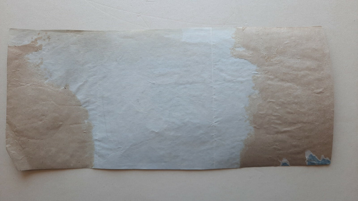 Patron photographique dentelle cyanotype vers 1900. 15 x 33,5 cm photo
