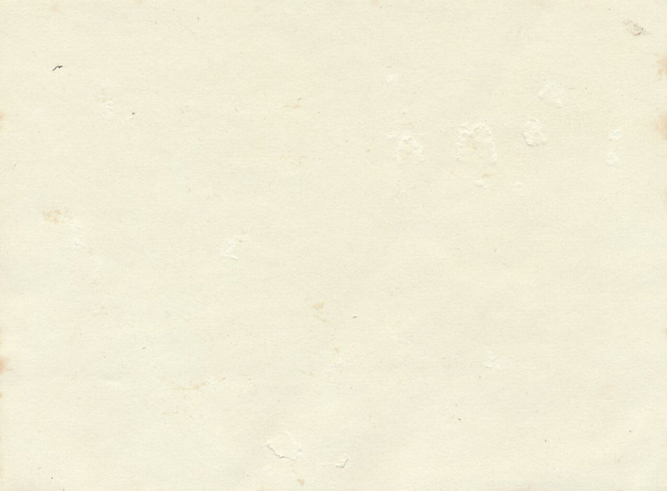 chiens costume humour animaux table citrate tirage photo photographie