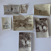 Jean de NOÉ 2e spahis Algérie Maroc militaria 80 photos manuscrit documents 1920