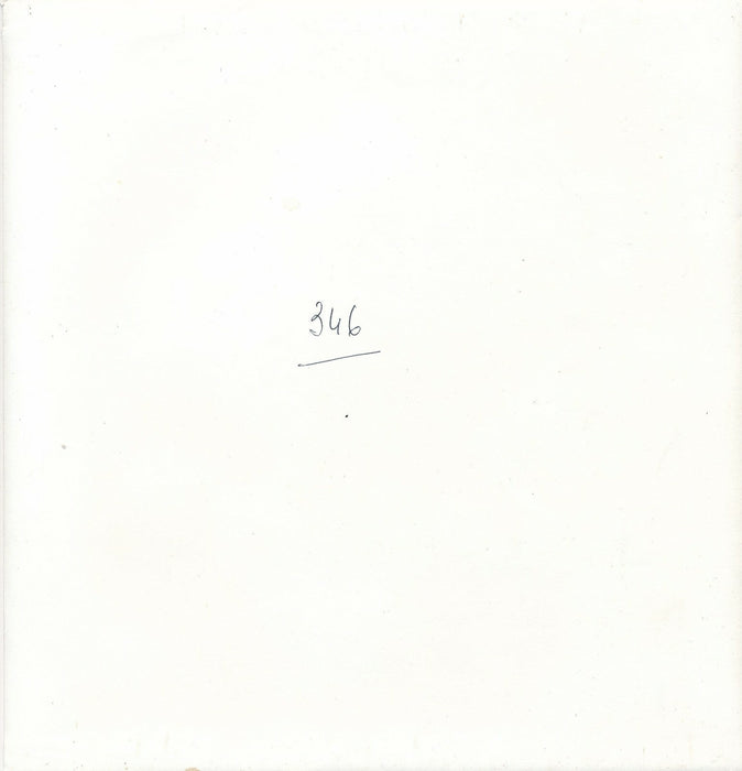 Le coq sur un tas de fumier photo photographie époque neige