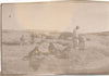 SAHELI Maroc v. 1920 colonialisme protectorat 3 photo photographies spahis