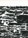 Étude d’un mur avec cuillers et fourchettes absraction forme photo photographie