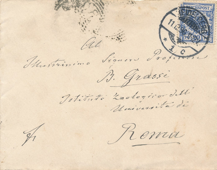 Karl GEGENBAUR anatomiste Allemagne lettre autographe Battista GRASSI évolution