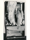 Louise NEVELSON catalogue exposition CNAC et photo, invitation, flyer 1974