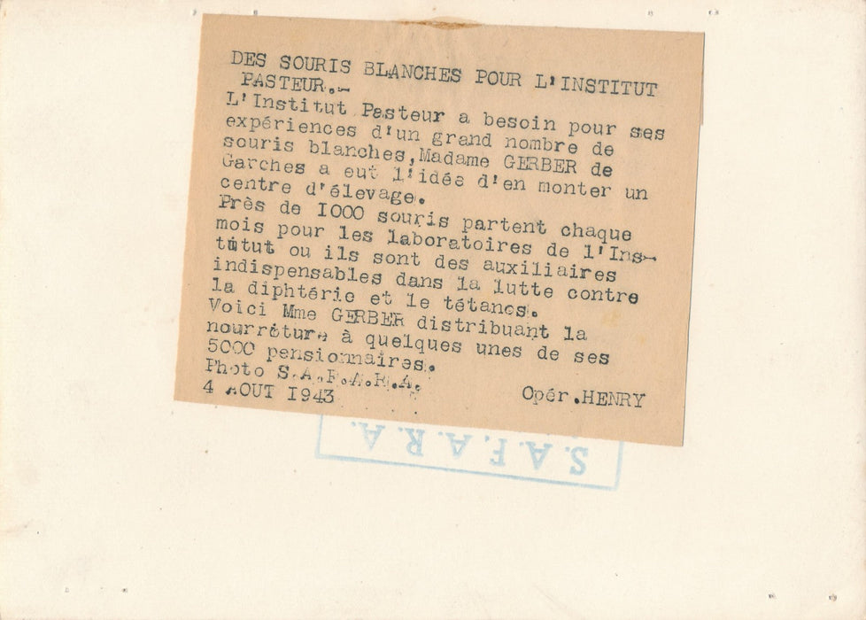 Institut Pasteur souris blanches expériences 1943photo photographie vaccin