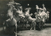 Cirque Amiens, 1955 chevaux photo photographie époque
