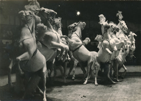 Cirque Amiens, 1955 chevaux photo photographie époque