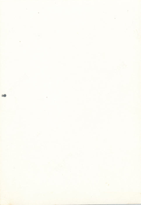 2 photo amateur Carnaval Nice 1969 snapshot couleur char femme