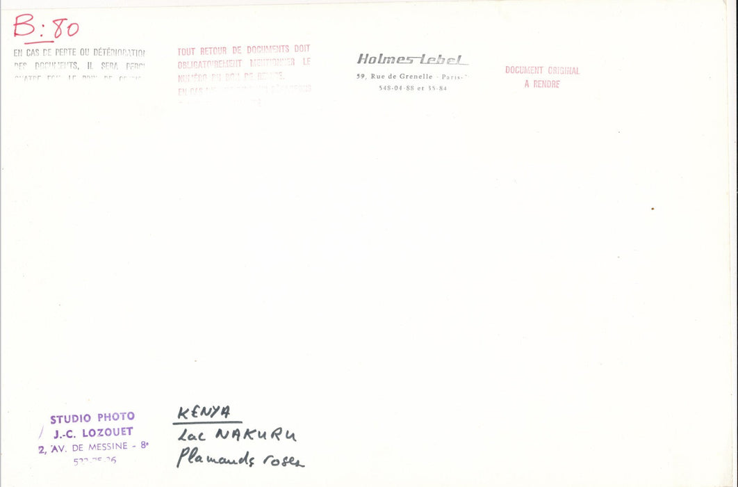 Kenya lac Nakuru flamants roses photo photographie v. 1960-70 C. Lozouet