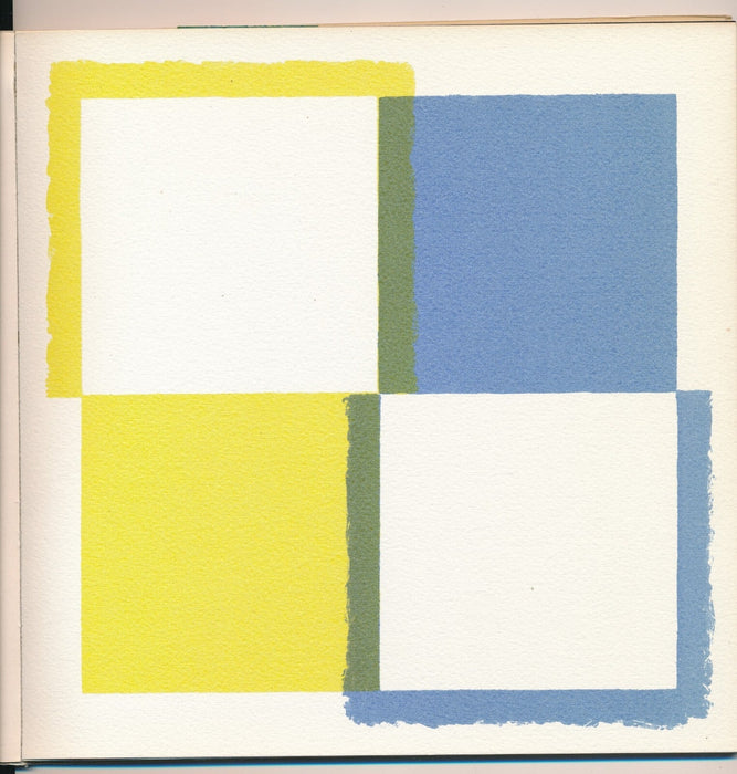 Albert Ayme Paradigme du bleu et jaune catalogue 1976 photo sérigraphies