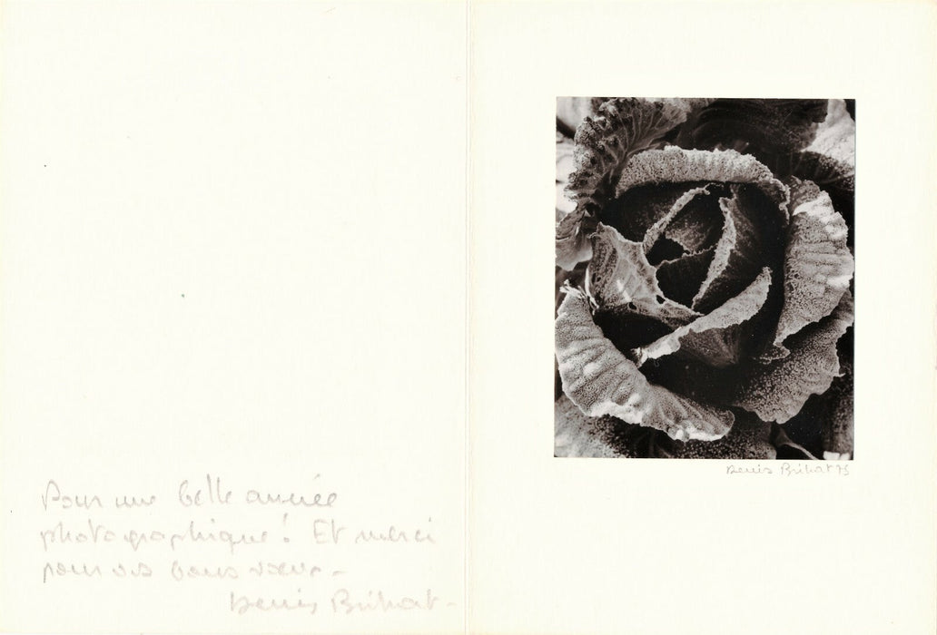 Denis BRIHAT photo photographie chou carte voeux 1975 signée envoi autographe