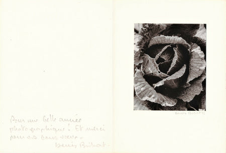 Denis BRIHAT photo photographie chou carte voeux 1975 signée envoi autographe