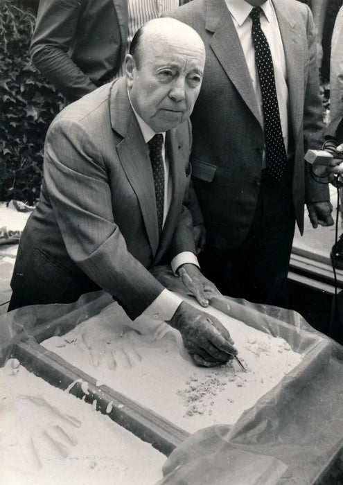 9 réalisateur Vadim Renoir Polanski Carné Godard Achard Welles... photo film