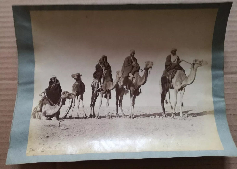 Égypte Pascal Sebah 3 photo albumine photographie