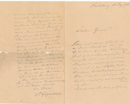 Karl GEGENBAUR anatomiste Allemagne lettre autographe Battista GRASSI évolution