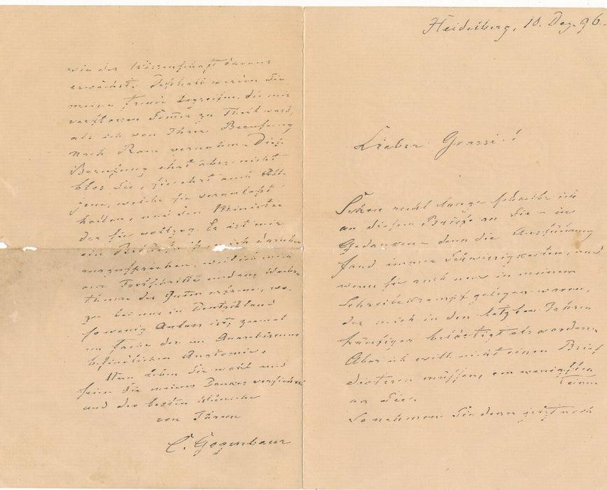 Karl GEGENBAUR anatomiste Allemagne lettre autographe Battista GRASSI évolution