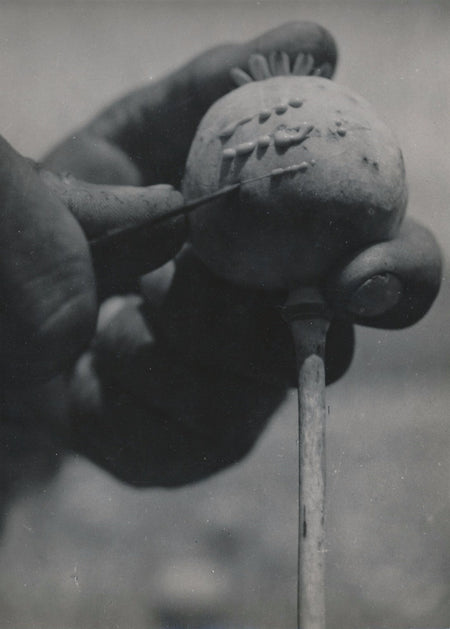 oignon cinéma photographie argentique époque Kiro Bilbilovski Skopje v. 1950