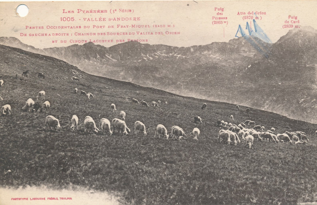 Isabelle SANDY écrivaine 2 lettres autographes signées et Carte Céline LHOTTE 