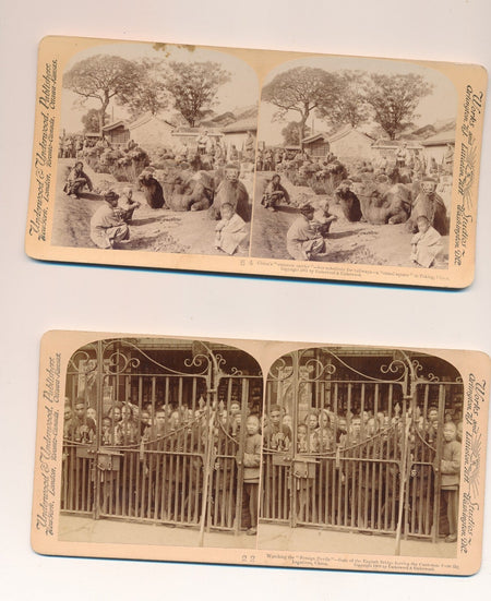 Chine 5 cartes stéréoscopiques photo photographie stereo stéréo