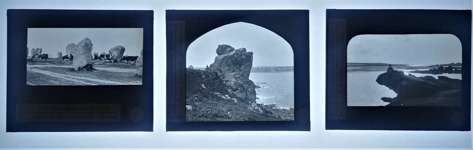 Tremorvezen Carnac Trégastel Perros-Guirec animaux 9 positif verre photo