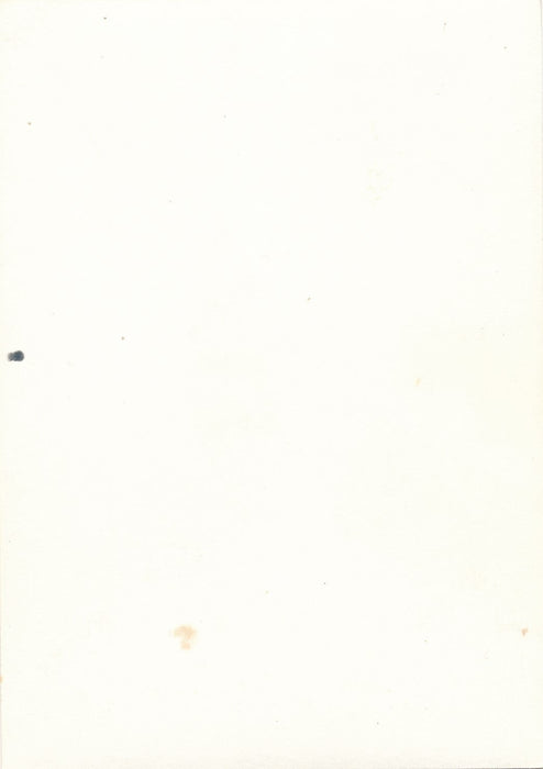 2 photo amateur Carnaval Nice 1969 snapshot couleur char femme