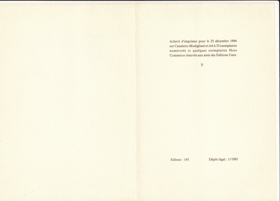 Bernard RÉQUICHOT métaplastique ouvrage Editions Unes 1995