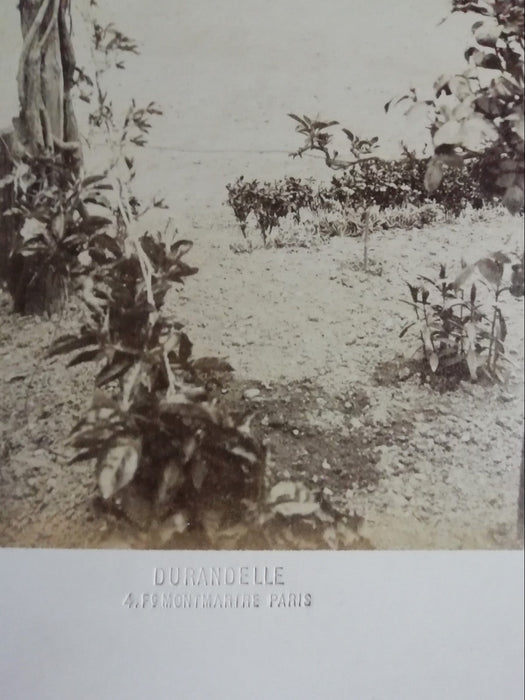 Photographie Durandelle 2 tirages parc personnages grand format albuminé