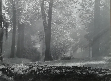 photo Paysage pictorialisme Anvers M. Creemers, Antwerpen Belgique v. 1930