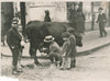 laitier Naples vache traite lait photo photographie époque argentique Italie