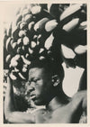 Guinée Afrique Porteur de bananes photo photographie Guinée française