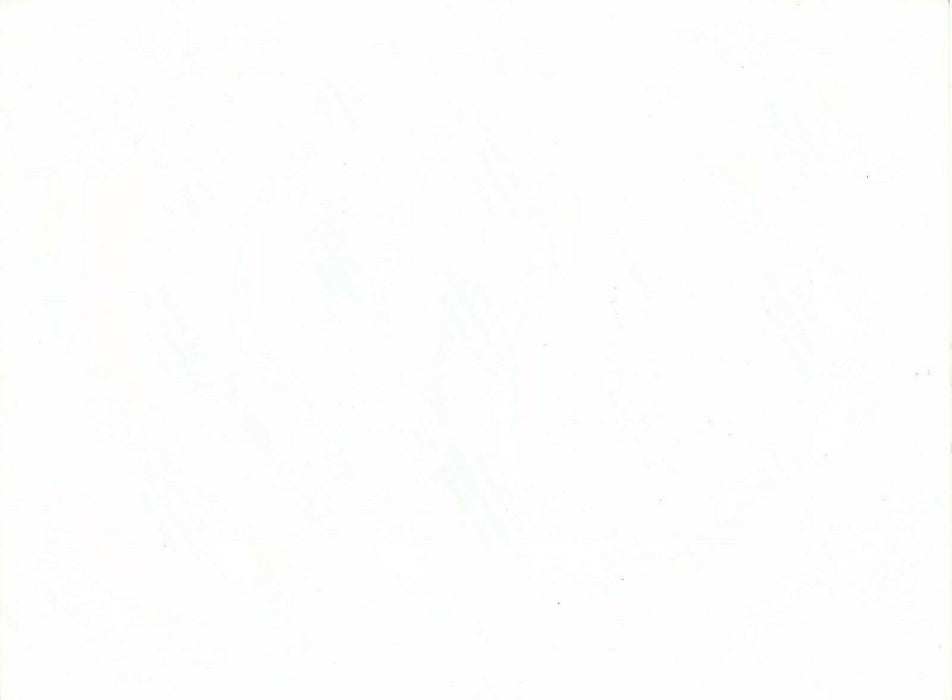 Photo buste tirage argentique papier RC v 1980 poitrine sexy