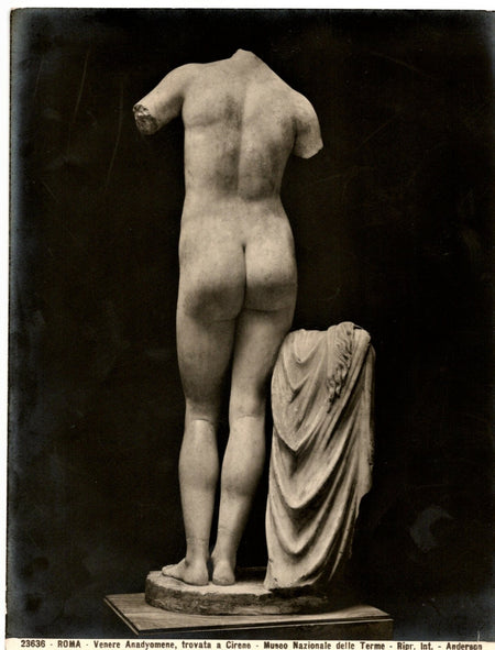 Vénus sortie des eaux Vénus de Cyrène photo photographie Anderson v. 1930