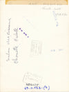 Photographie Chouette hulotte tirage argentique époque 1969 photo presse oiseau