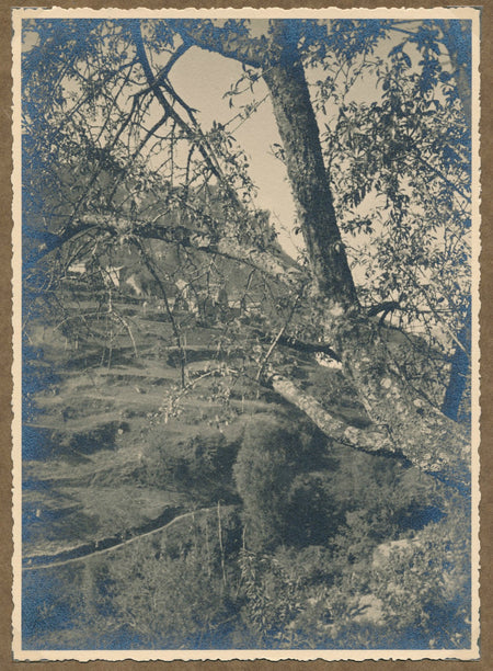 La Jonte Lozère paysage photo argentique d'époque 1938