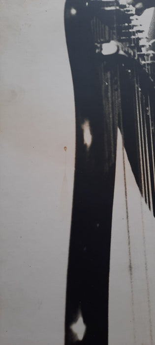 Alice COLTRANE harpe harpiste jazz grande photo photographie Jacques BISCEGLIA 